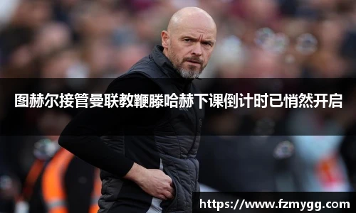 v66体育官网